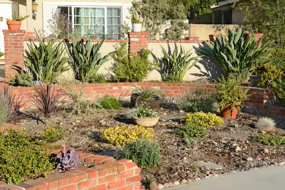 Drought Tolerant Landscape